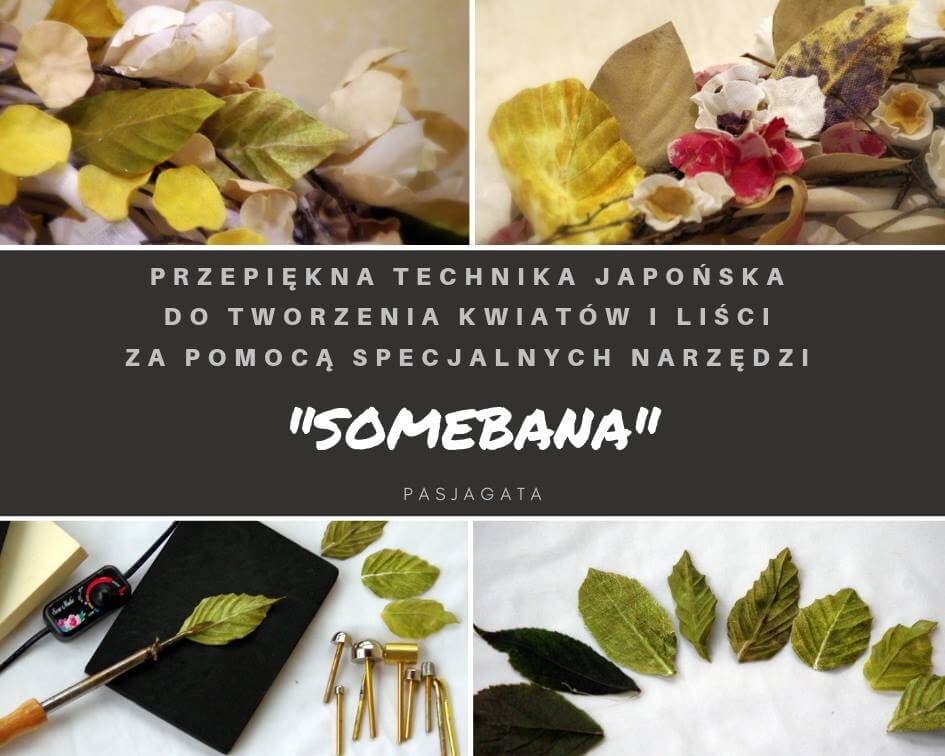 Read more about the article Somebana